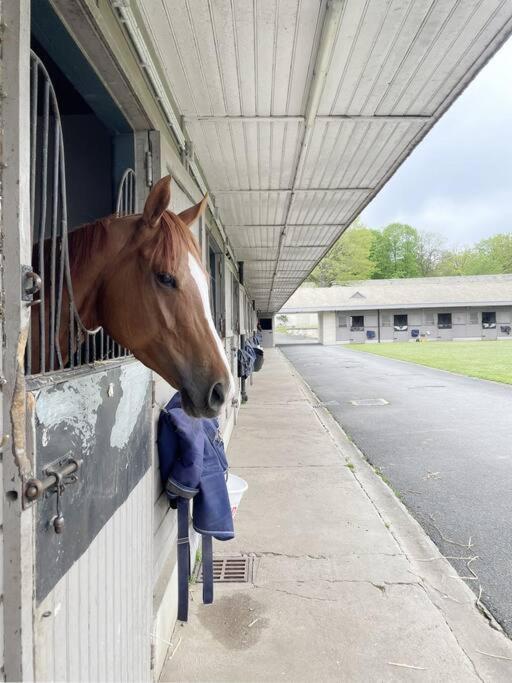 Paddock Prestige By La Boite En Plus Chantilly Eksteriør billede